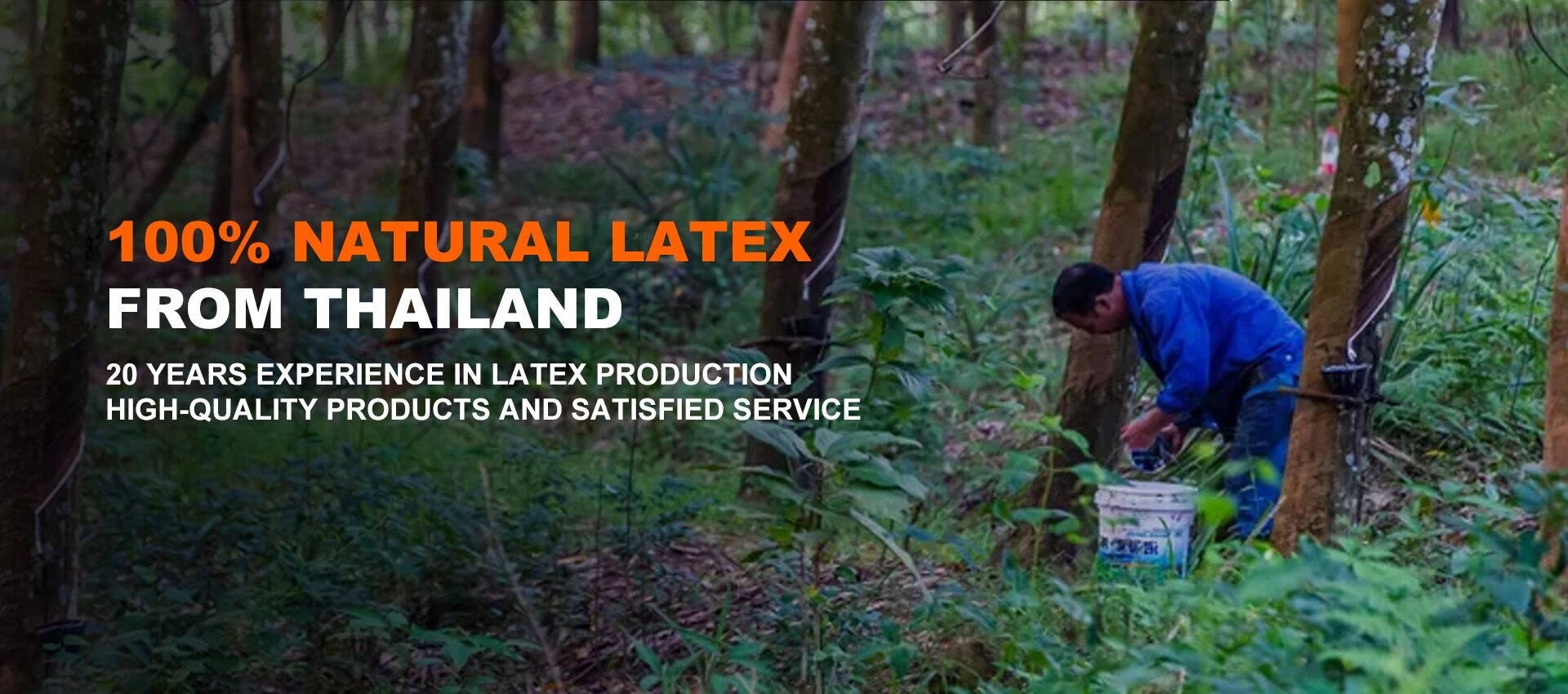 Naturlig latex madrasleverandør