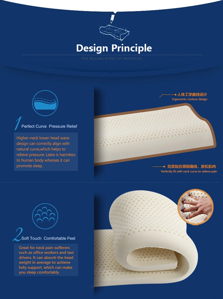 Large Size Double latex Pillow